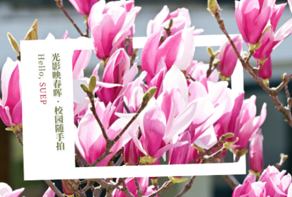 上电时刻 | 等你，一起记录春天！